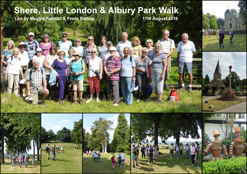 Walk - Shere & Albury Park - 17th August 2016